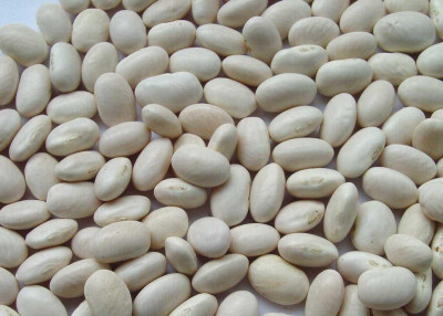 Pupiņas baltas 3kg Dobele (23.08.2025) Latvija