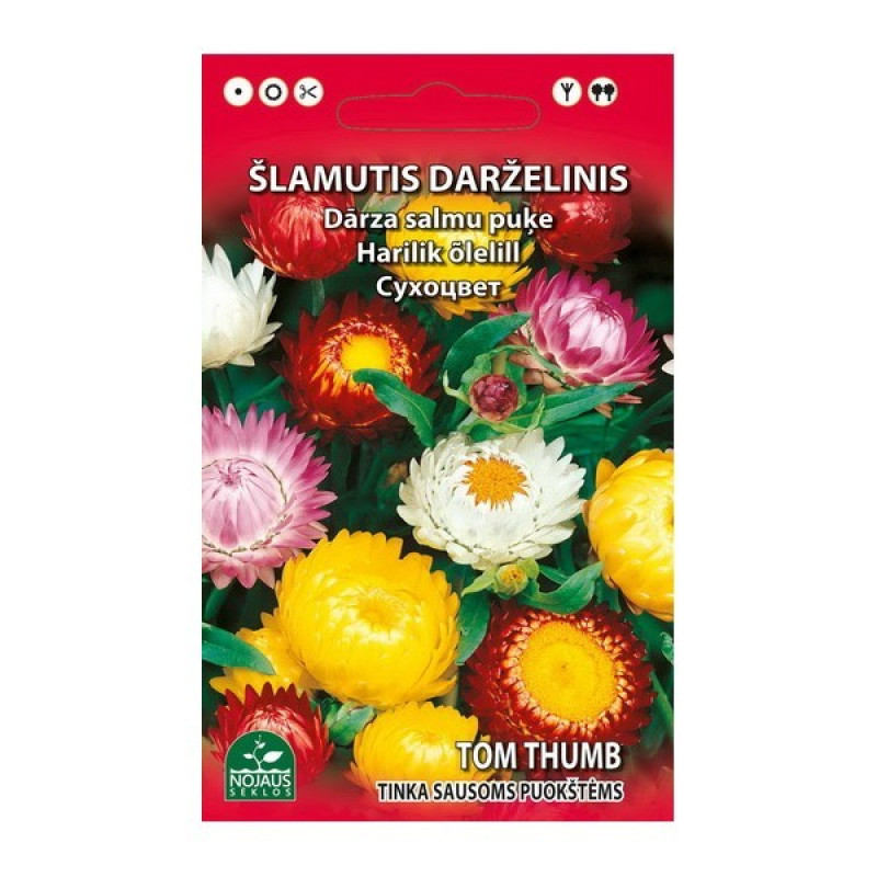 Sēklas Dārza salmu puķes 0.5g 1/20 Lietuva