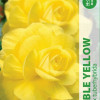 Puķu stādi Begonija Double Yellow