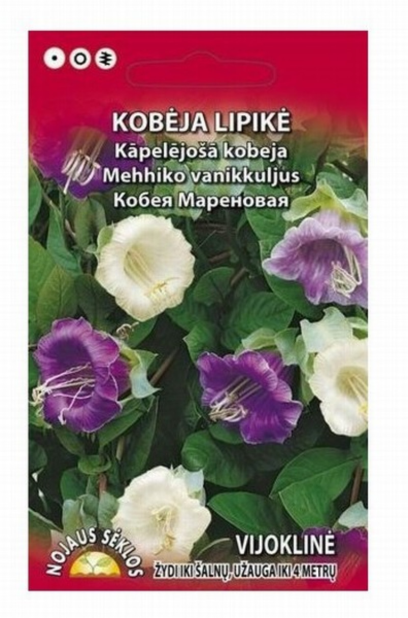 Sēklas Puķe Kāpelējošā Kobeja 0.3g Lietuva