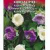 Sēklas Puķe Kāpelējošā Kobeja 0.3g Lietuva