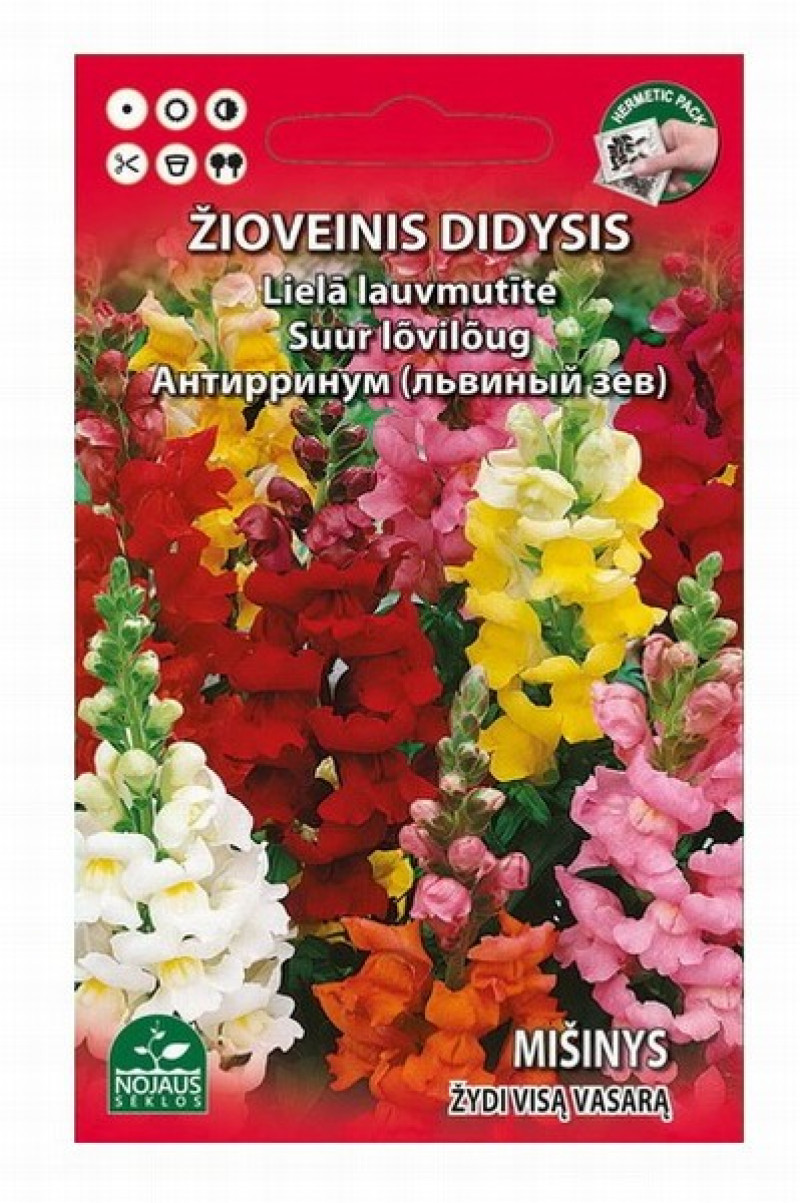 Sēklas Lielā lauvmutīte 0.2g Lietuva