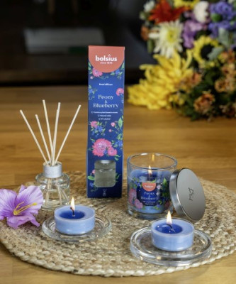 Gaisa atsvaidz.30ml Peony&Blueberry, Polija