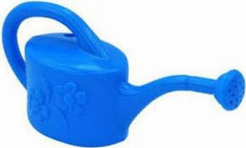 Rotaļlieta Lejkanna ziedi 26 cm