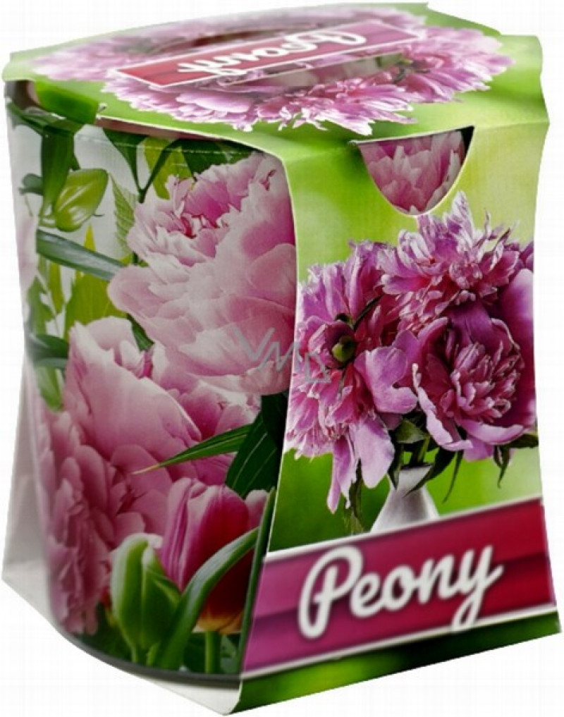 Svece Peonija aromātiska stiklā 1/6 Polija
