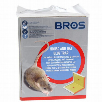 Peļu žurku slazds ar līmi Polija