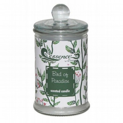 Svece Bird of paradise aromātiska stiklā 1/12