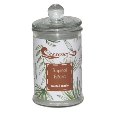 Svece Tropical Island aromātiska stiklā 1/12