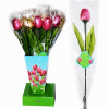 Šokolādes konfekteTulip in vase 18g 1/18(03.08.28)Ķīna