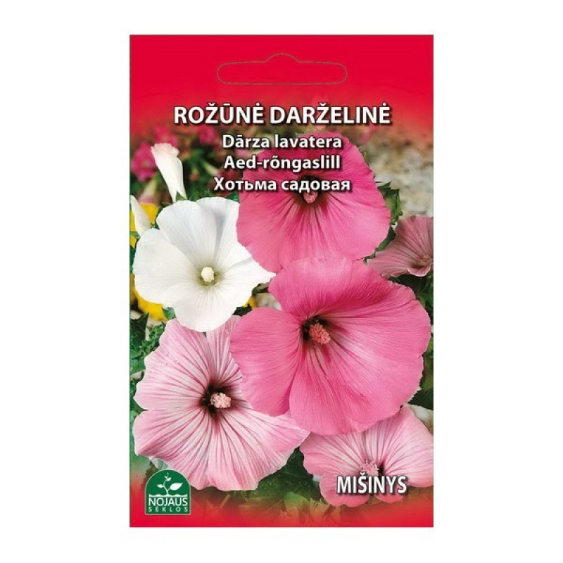 SĒKLAS DĀRZA KOSMEJA 1/20