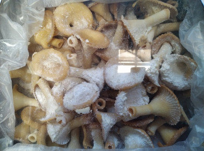 Cepumi GAILENES pūdercukurā 500g (01.04.27) Ukraina
