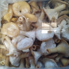 Cepumi GAILENES pūdercukurā 500g (01.04.27) Ukraina