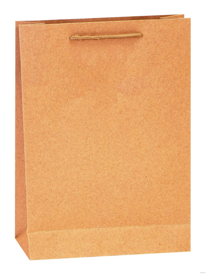 Dāvanu maisiņš Kraft 20x15x6cm Ķīna