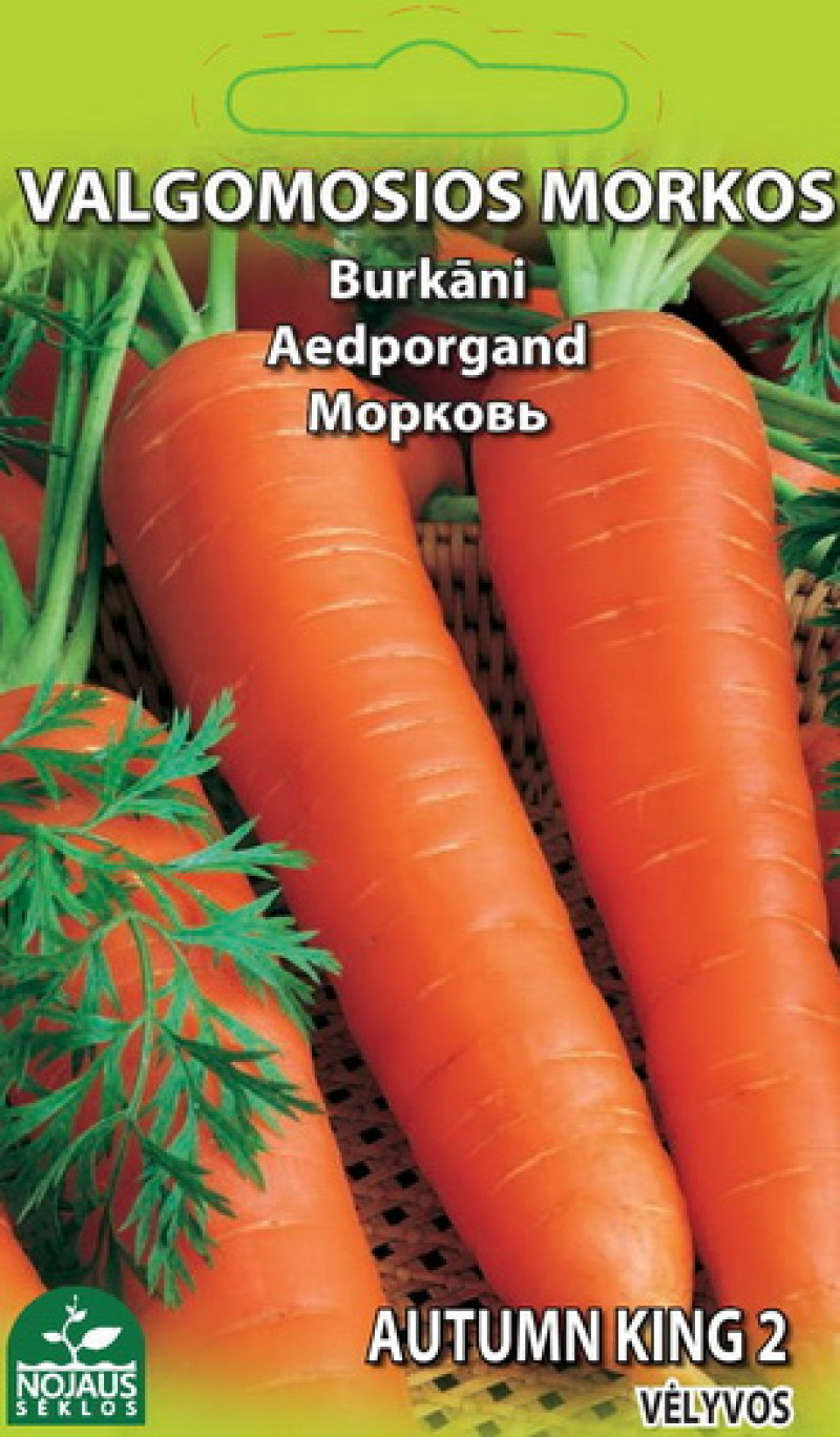 Sēklas Burkāni Autumn King 5g 1/20 (12.2027) Lietuva