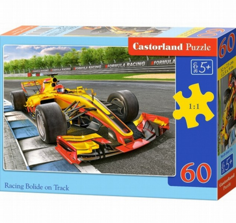 PUZZLE dažādas 60 kauliņi