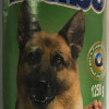 Suņu konservi Blubo ar jēra gaļu 1.25kg  (31.01.2028) Polija