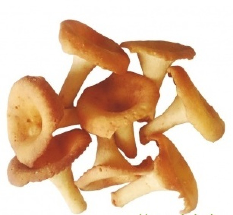 Cepumi Gailenes 0.450kg (11.12.26) Ukraina