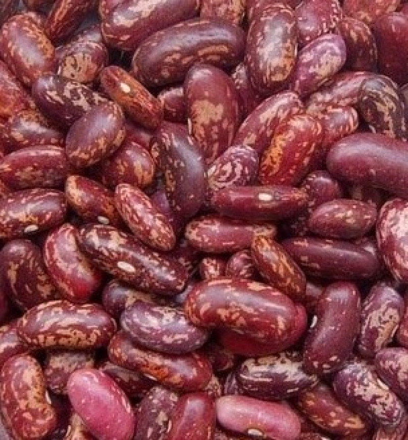 Pupiņas raibās 1kg Dobele (09.09.2026) Etiopija