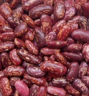 Pupiņas raibās 1kg Dobele (30.07.2025)