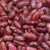Pupiņas raibās 1kg Dobele (30.07.2025)