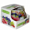 Svece Forest fruits aromātiska stiklā 1/12 Polija