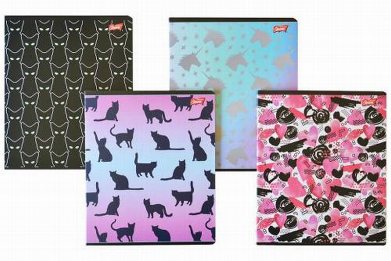 Klade līnīju 48lpp mix Polija