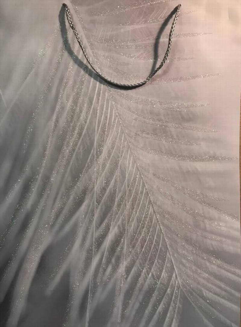 Dāvanu maisiņš ar spalvām  44x30x12cm