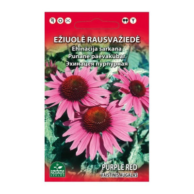 Sēklas Puķe Ehinācija sarkana 0.5g