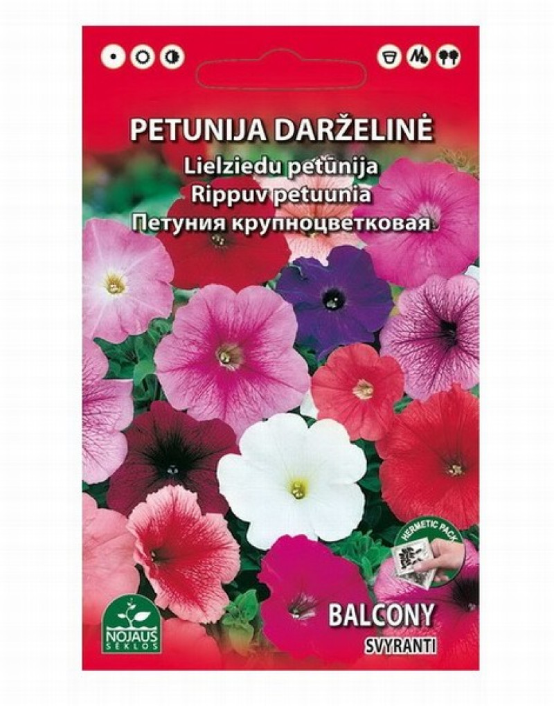Sēklas Puķe Lielziedu petūnija (12.2027) 1/20 Lietuva