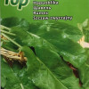 Sēklas Skābenes Rumex Lyonski 1/20