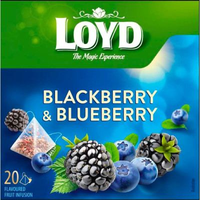 Tēja Loyd Pyramids augļu kazeņu-melleņu 20x2g (08.2027) Ukraina