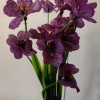 Mākslīgie ziedi Vijolīšu pušķis (aveņu, rozā, violets)