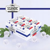 Dražejas Scandic Fresh Artic mint 14g 1/18 (04.2026) RU